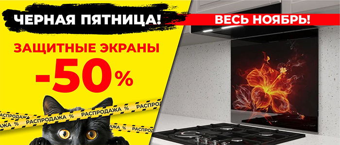 ЧЕРНАЯ ПЯТНИЦА!Скидка на Защитные экраны 50%!