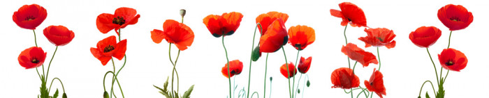 Основное изображение